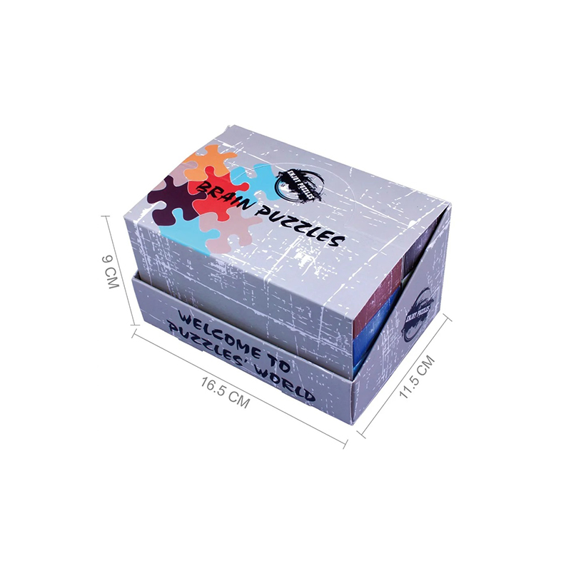 Rail Glide – Metallisches Cognitions-Puzzle für Challenger